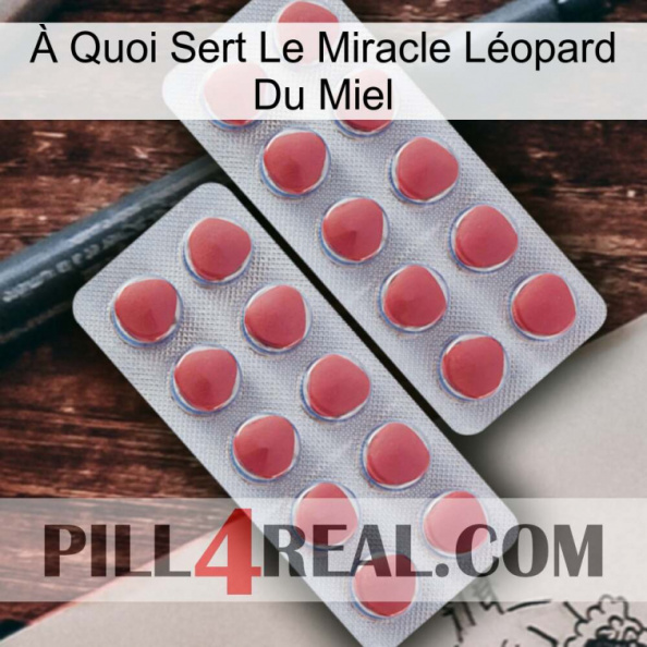 À Quoi Sert Le Miracle Léopard Du Miel 19.jpg